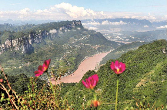 宜昌夷陵金剛山的滿山杜鵑花吸引游客紛至沓來(lái)