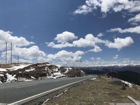 宜昌地区共完成电子驾驶证申领10.7万人 成功率约95%。