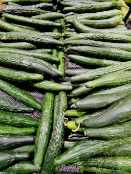 海南把好冬季瓜菜质量安全关 从源头上解决农药违法使用行为
