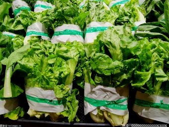 买把野菜换个口味！武汉野菜市场“春季限定”俏销
