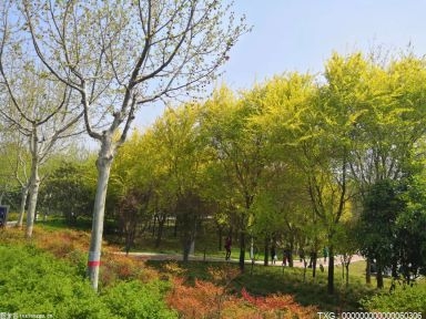 大庆市生态环境局携手靓湖学校开展系列主题宣传活动