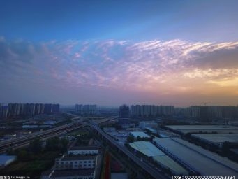 厲害了！揚州市職業大學“牛磨王”成功孵化創新創業項目