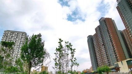 深圳第二批次居住用地有14宗地顺利成交 成交地价总额约339.32亿元