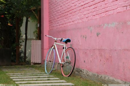 绿道骑行+打卡成生活新风尚！深圳自行车行业迎来新机遇