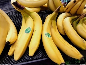 红皮香蕉跟一般香蕉的区别是什么？红香蕉的功效与作用